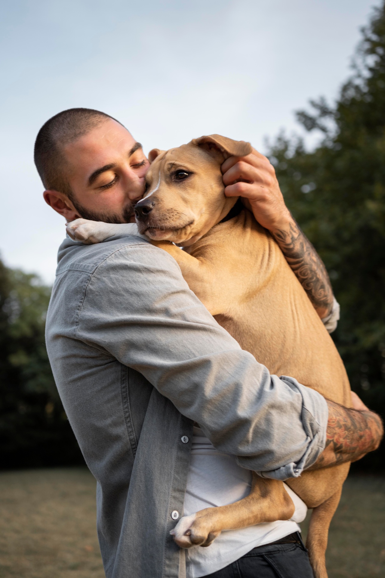 Mãos acolhendo um cachorro com carinho